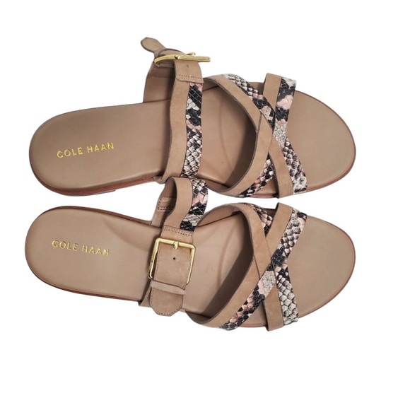 Cole Haan Python-Print Fairen Leather Strappy Buckle Slide Flat Sandals - Picture 2 of 4